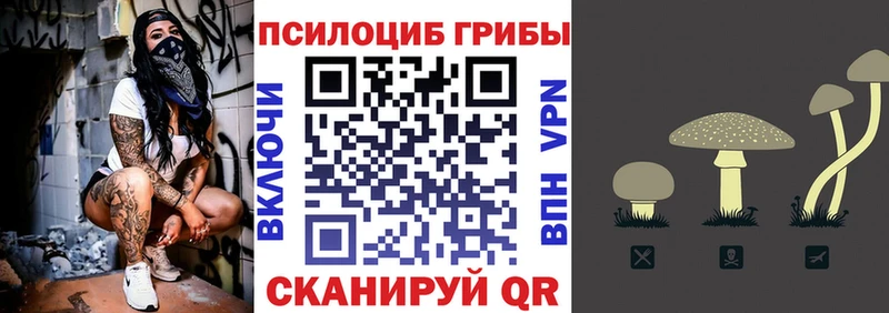 даркнет какой сайт  Слюдянка  Галлюциногенные грибы Cubensis 